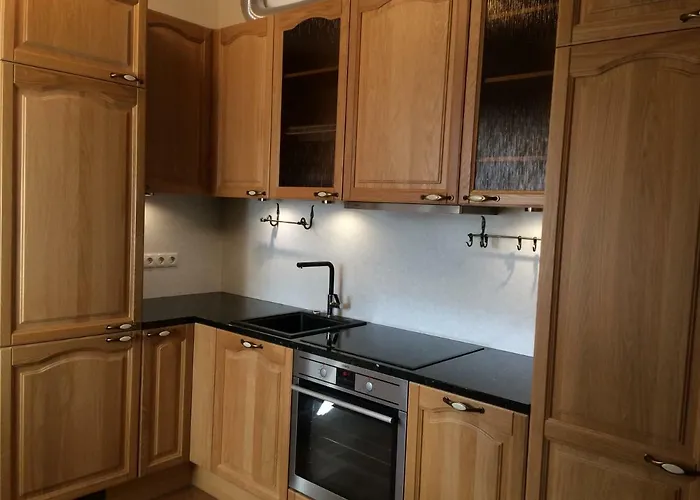 酒店 Lai 2 Penthouse In Old Town 塔林